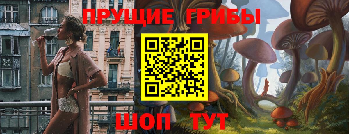 Псилоцибиновые грибы Psilocybine cubensis Грозный