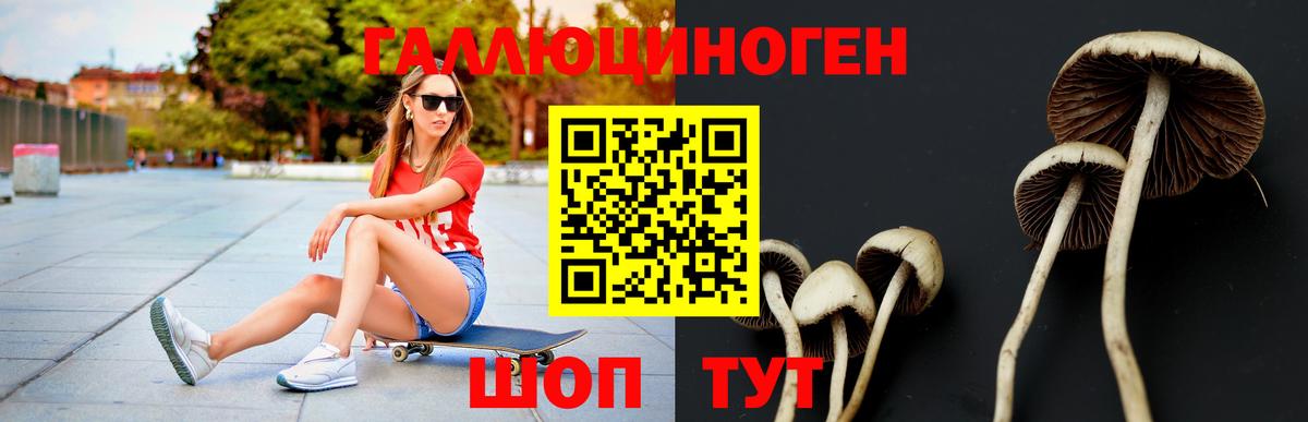 Грозный  Галлюциногенные грибы Magic Shrooms  Вход с VPN 